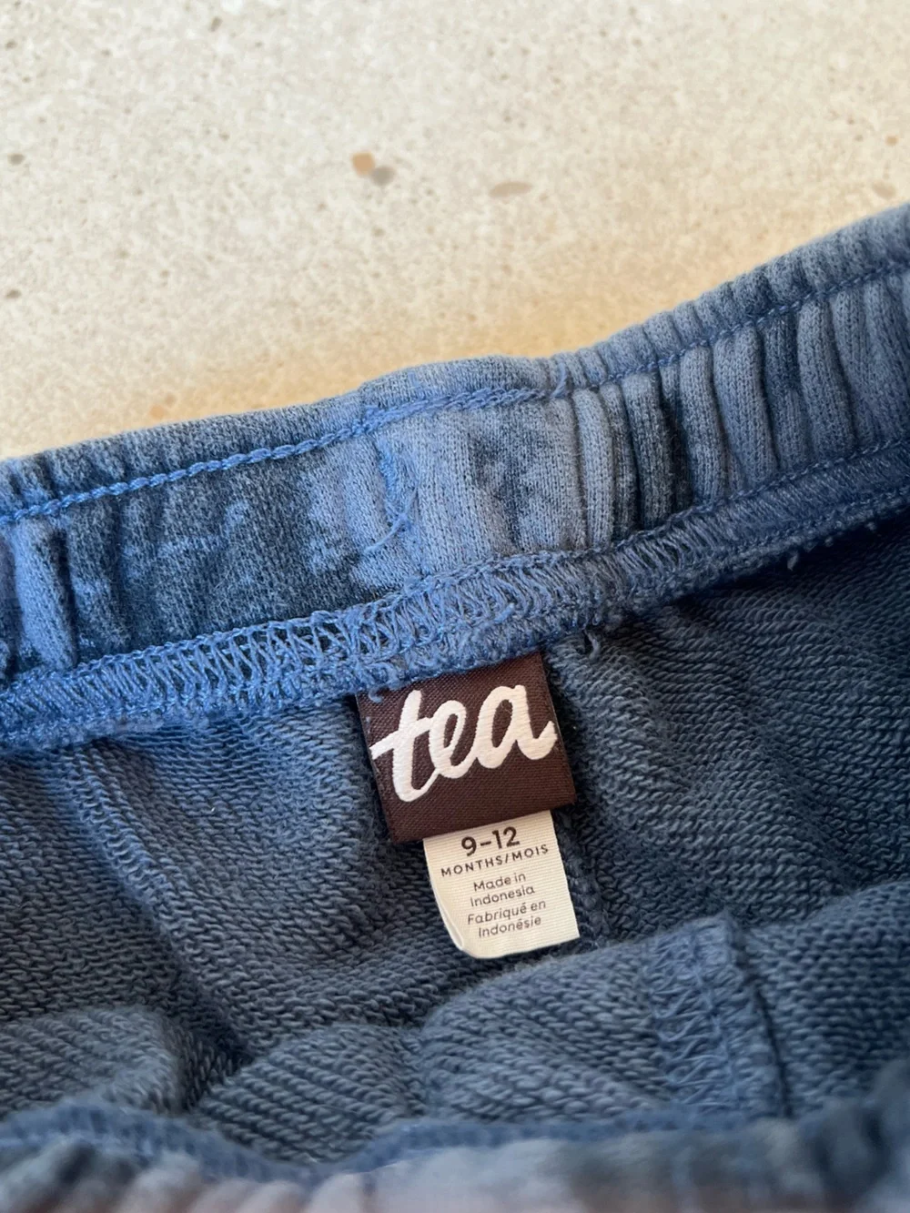 Tea Collection Tree Print Joggers